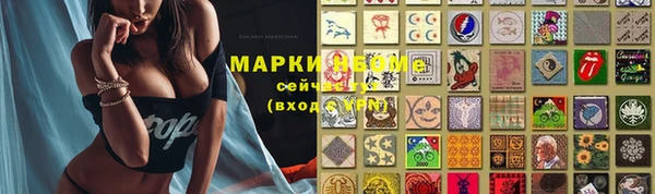 шишки Белоозёрский